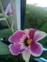 IMG_20180620_183729.webp