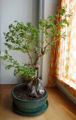 22_6_2016_Standort 2.webp