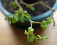 22_6_2019_Detail 6.webp