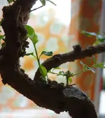 22_9_2019_Detail 2.webp