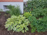 20190623_071702.webp