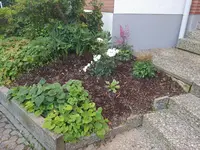 20190623_071619.jpg