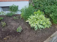 20190623_071707.jpg