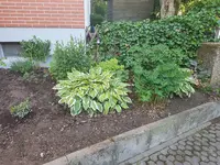 20190623_071642.webp