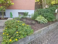 20190623_071637.webp