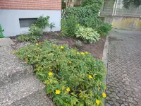 20190623_071630.webp