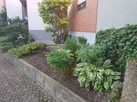 20190623_071654.webp