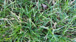 20190622_194908_resized.webp