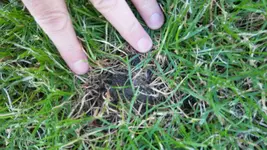 20190622_194933_resized.webp