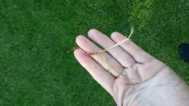 20190622_195012_resized.webp