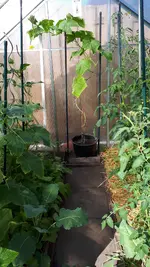 20190623_173140.webp