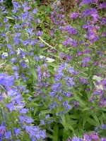23_06_2019 (6).webp