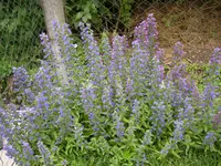 23_06_2019 (7).webp