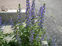 20_06_2019 (23).webp