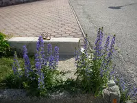 20_06_2019 (24).webp
