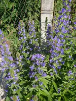 20_06_2019 (58).webp