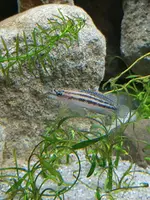 20190623_210749.webp