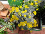 DSC00463.JPG