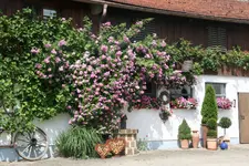 056.webp