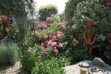 060.webp