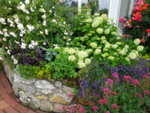 DSC00468.JPG