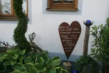 120.JPG