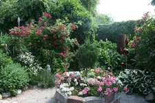 131.webp