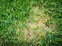 IMG_20190624_183328.webp