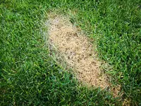IMG_20190624_183347.webp