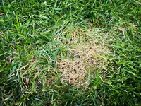 IMG_20190624_183335.webp
