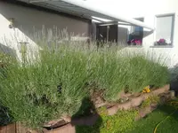 20190624_193303.webp