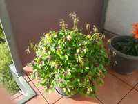 20190624_193321.webp