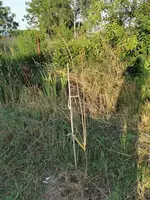 IMG_20190624_201847.webp