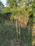 IMG_20190624_201847.jpg