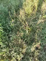 IMG_20190624_202328.webp