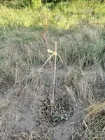 IMG_20190624_201820.webp