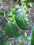 20190624_212632.jpg
