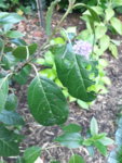 20190624_212637.jpg