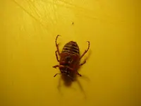P6241228.webp