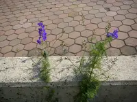 20_06_2019 (22).webp