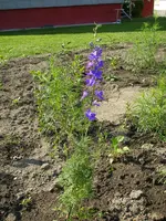 20_06_2019 (49).webp