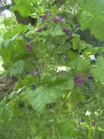 BILD1196.webp
