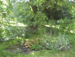 BILD1199.JPG