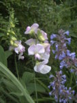 BILD1202.JPG