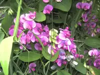 BILD1205.webp