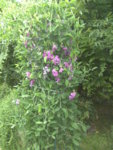 BILD1206.JPG