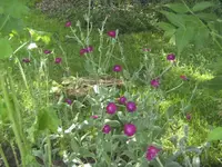 BILD1198.webp