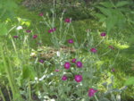 BILD1198.JPG