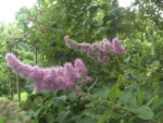 BILD1208.JPG