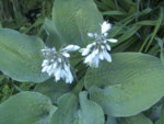 BILD1210.JPG